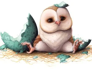 Toboggan hibou mignon